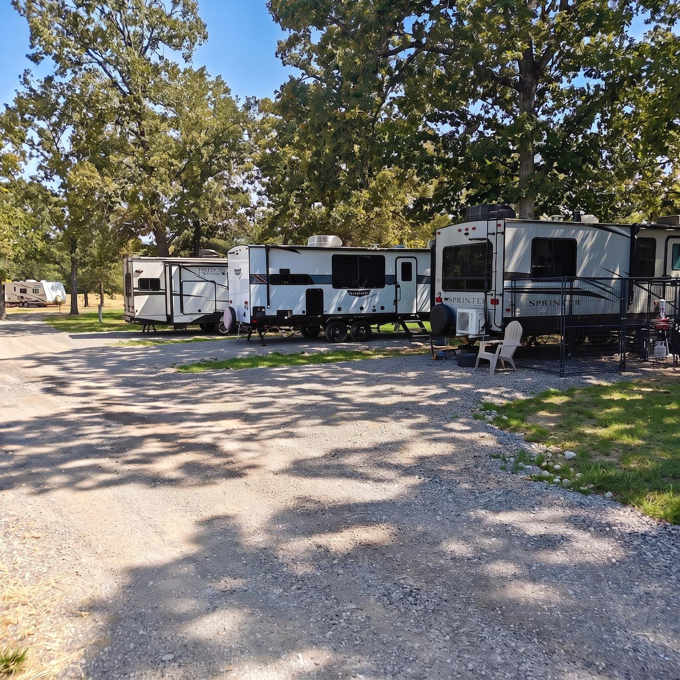 RVs parked along a shaded site row