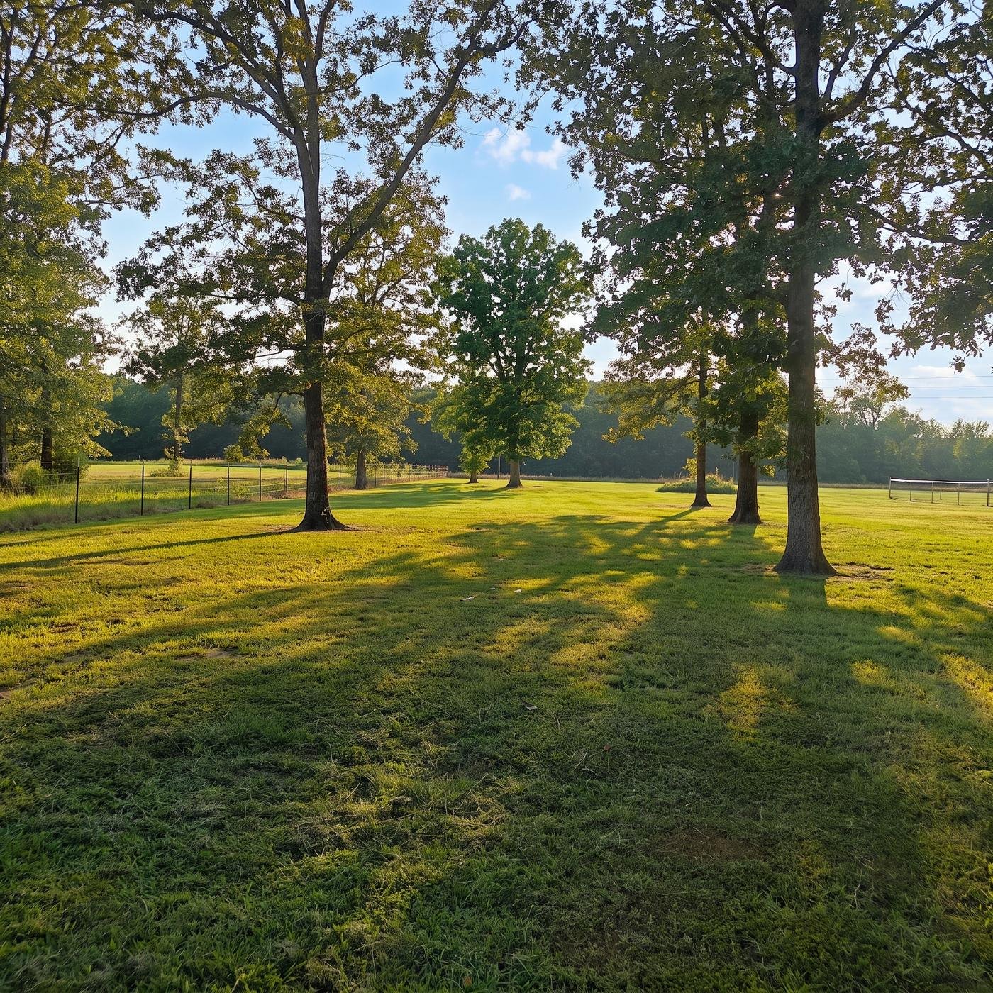 Open grassy grounds shaded by mature oak trees